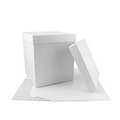White High Wall Box (8"x8"x9") Base and Lid